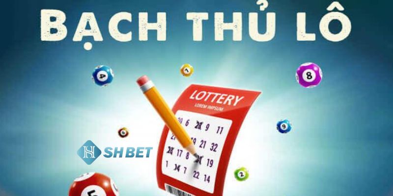 bạch thủ lô là gì Bạch thủ lô là gì?