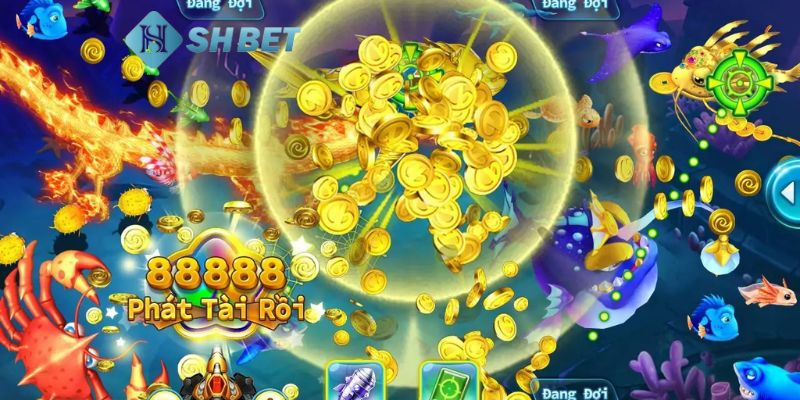 bắn cá King Khám phá bắn cá King