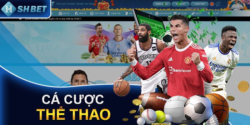 Giới thiệu về thể thao tại nhà cái