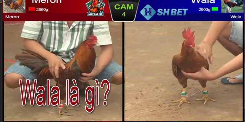 Wala là gì Wala Là Gì?