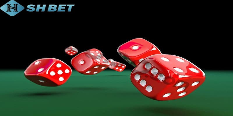 Hướng dẫn quy trình tham gia xí ngầu casino đúng chuẩn