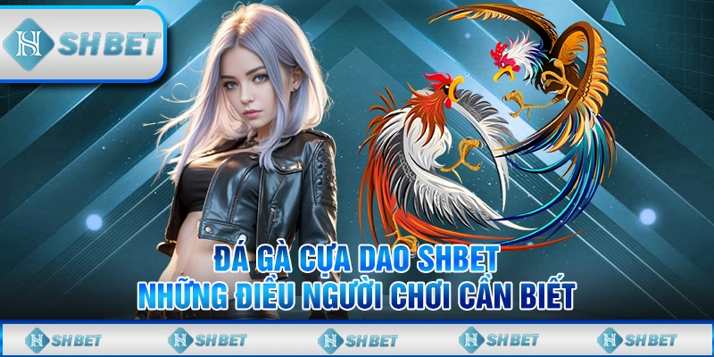 Đá Gà Cựa Dao SHBET - Những Điều Người Chơi Cần Biết
