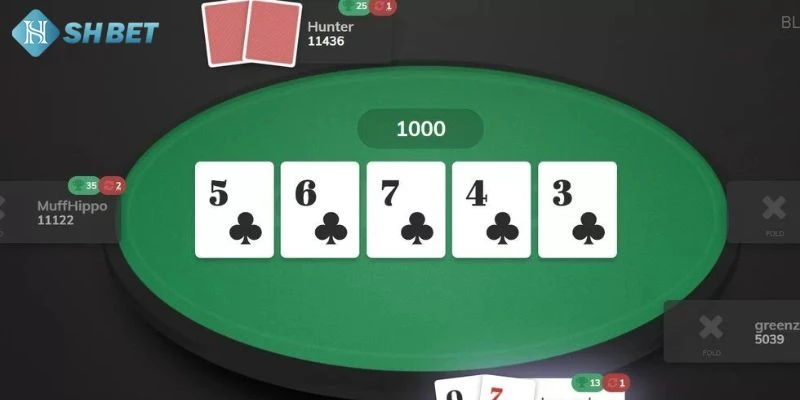 Giới thiệu chi tiết về game bài Poker SHBET cho tân cược thủ