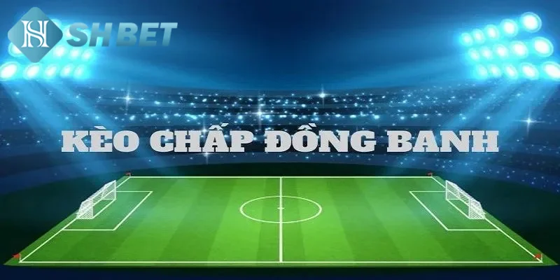 Kinh nghiệm chơi kèo đồng banh nửa trái hiệu quả
