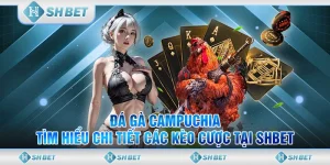 Đá Gà Campuchia - Tìm Hiểu Chi Tiết Các Kèo Cược Tại SHBET