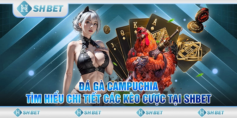 Đá Gà Campuchia - Tìm Hiểu Chi Tiết Các Kèo Cược Tại SHBET