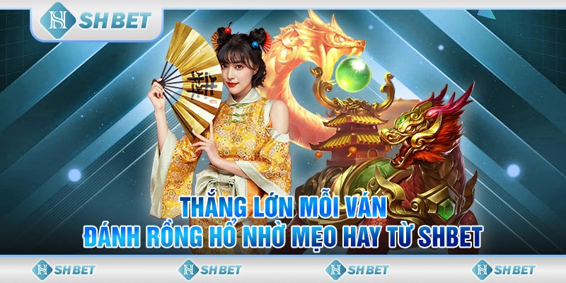 Thắng Lớn Mỗi Ván Đánh Rồng Hổ Nhờ Mẹo Hay Từ SHBET