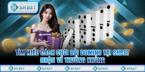 Tìm Hiểu Cách Chơi Bài Domino Tại SHBET Nhận Về Thưởng Khủng