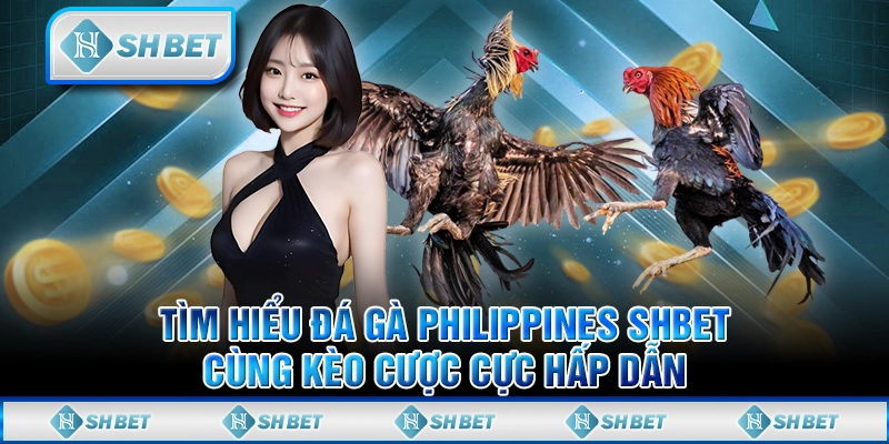 Tìm Hiểu Đá Gà Philippines SHBET Cùng Kèo Cược Cực Hấp Dẫn