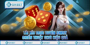 Tài xỉu trực tuyến SHBET: Chiến thuật chơi hiệu quả