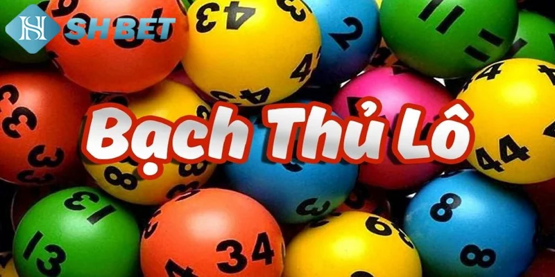 Bạch thủ lô là gì?