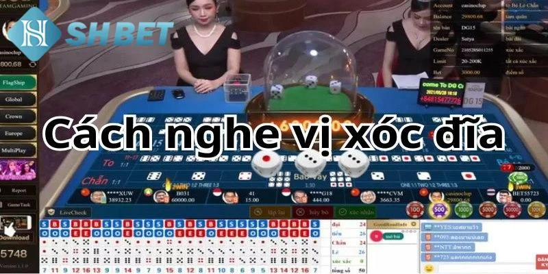 Phân tích cách chơi xóc đĩa hiệu quả dành cho hội viên SHBET