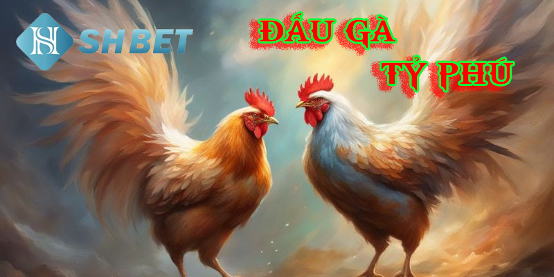Cách tham gia đấu gà tỷ phú và đặt cược thông minh