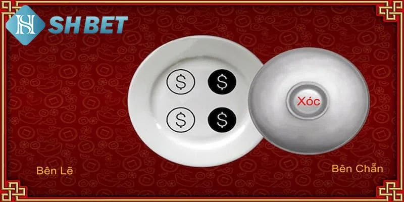 Đọc vị xóc đĩa là gì?