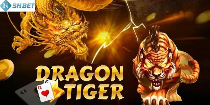 Những mẹo đánh rồng hổ trăm trận trăm thắng khác